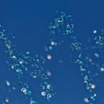 jne-environmental-carbon-dioxide-ph-correction-system-featured-image-2